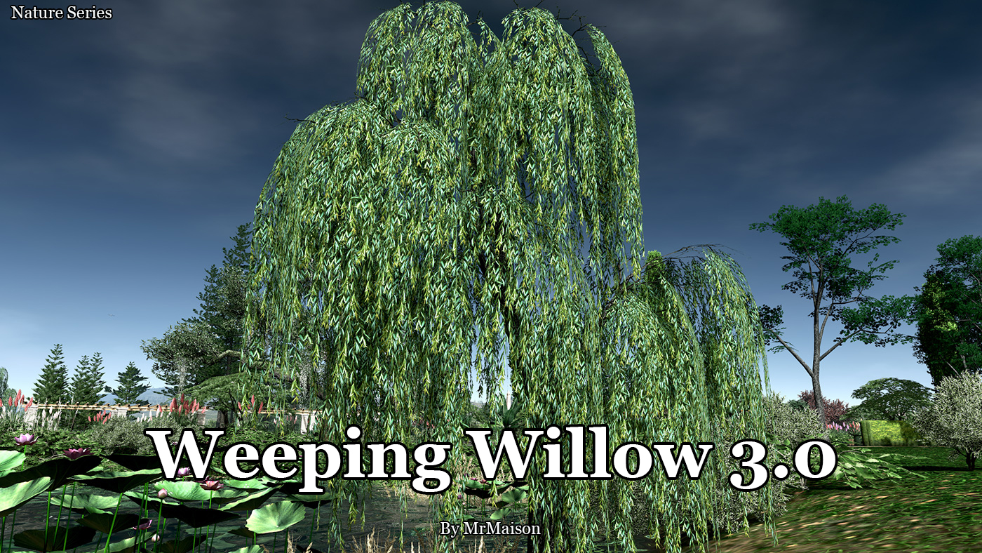 WeepingWillow3 Promo.jpg